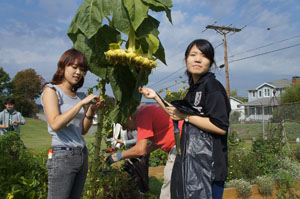 ESL students learn names of vegetables and flower